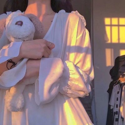 铁马冰河入梦来